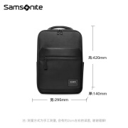 新秀丽（Samsonite）/背包男通勤旅行包欧风高级感商务双肩包新款潮流时尚电脑背包TT0 黑色*09002