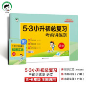 小学语文 53小升初总复习考前讲练测2024年