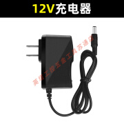 鹰视眼角磨机 电锤 吹风机 手电钻电动扳手锂电池 12V  充电器