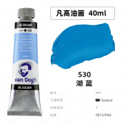 荷兰VAN GOGH凡高油画颜料66色梵高油画颜料专业级油彩油画色单支木盒套装 530湖蓝（40ml）S1