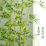 格林盈璐（GREENYELLOW）仿真竹子造景装饰假竹子仿真植物隔断挡墙酒店仿生竹子装饰品 1.2米仿真竹带梢单根*10 0cm