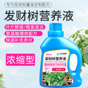 艾尚棵发财树浓缩营养液肥料专用肥室内富贵竹盆栽绿植通用型液体肥 发财树营养液500ml*1瓶