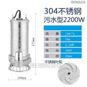 CLCEY304全不锈钢潜水泵耐腐蚀化工泵高扬程抽水机污水泵220v 污水泵2200W2寸流量15扬程18米【