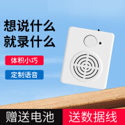 锦亨源语音提示器宣传按键播放器门口公司超市店铺门铃迎宾器小型音乐盒 电池款(单机不送电池)