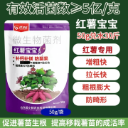 红薯宝宝快速膨大防裂专用控上促下增产增收美薯提质 50克/袋*2包