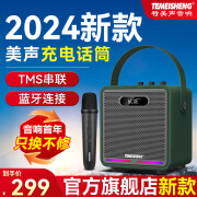 TEMEISHENG特美声A6-30户外便携式广场舞蓝牙音响手提大音量带无线话筒 2024新款方舟V11+充电话筒