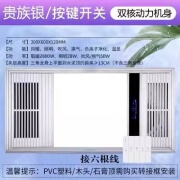 欧普源兴欧普风暖浴霸卫生间集成吊顶排气扇照明一体五合一浴室智能 (双核单暖)阻燃机身-银色-琴键开