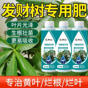 花神纪发财树营养液肥料浓缩专用肥料室内盆栽植物叶子发黄掉叶叶面肥 5瓶 300ml瓶