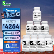 synext澳洲小黑 8瓶装