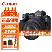 佳能（Canon） EOS R6 Mark II R62全画幅微单相机级vlog相机 R6二代 RF24-105mm F4  USM 国行正品 官方标配【无内存卡/包】套餐更划算