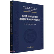 缝洞型碳酸盐岩油藏提高采收率理论与关键技术(2008-2020)(精)/国家科技重大专项大型油气