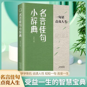 666件可写的事 名言佳句小辞典一句话点亮人生 每一句都值得珍藏 一句话点亮人生的智慧宝典 名言佳句小辞典