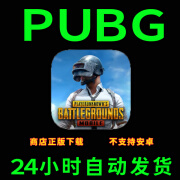 刺激战场 吃鸡pubg服手机手游下载更新苹果支持平板游戏 标准版 简体中文