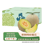 智洲网纹蜜瓜 新鲜水果生鲜物品 整箱3斤左右净含量2斤