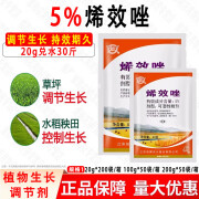 剑牌5%烯效唑挫植物矮化剂水稻花生红薯专用控旺药植物生长调节剂  20 20g*1袋