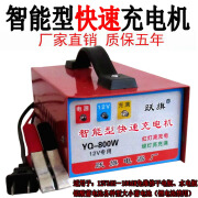 AD汽车摩托车电瓶充电器12v24v伏通用智能修复蓄电池充电机充满自停 12v-800W自动修复充电器