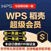 WPS大会级PRO一天WPSAI生成PPT内容创造模板文档级会稻壳 标准 标准