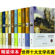 世界十大名著套装正版全10册外国文学小说系列 巴黎圣母院飘童年红与黑呼啸山庄悲惨世界大卫科波菲尔等 标准