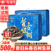 新益号昔归普洱茶生茶散茶2024年春茶云南临沧昔归古树茶生普茶叶礼盒装 2盒【实惠口粮茶】500克