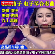 UECYXOP重低音笛子电子琴U盘合奏曲音乐车载DJ音乐u盘抖音同款无损高品质 精选电子琴DJ100首