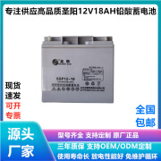 圣阳蓄电池12v18ah消防应急电池SP12-18直流屏UPSEPS不间断电源蓄电池 12V18AH SSP12-18