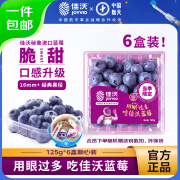 佳沃（joyvio）秘鲁进口蓝莓 中果16mm+ 6盒装 约125g/盒 生鲜水果 源头直发