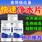 六鹤净水食用级战备井水消毒片农村水井饮用水野外消杀菌除异味 1瓶装