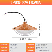 中创冠奕达国标led防爆灯工业厂房灯罩仓库车间加油站用照明灯护栏式投光灯 小防爆灯挂钩款50W 1