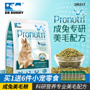 DR BUNNYDrBunny兔博士兔粮专用成兔主粮美毛配方粮宠物兔粮兔饲料 900g 1袋 成兔粮