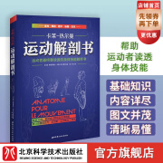 运动解剖书:运动者终要读透的身体技能解析书 欧洲经典运动类工具书 手绘图+超详尽的解析文字 北京科学技术