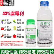 剑牌看剑43%腐霉利番茄辣椒草莓果树油菜菌核病灰霉病专用农药杀菌剂 100g