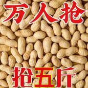 驼背熊【新货】铁锅炒花生原味花生熟花生带壳炒花生即食香脆年货坚果 熟 四粒红原味花生五斤