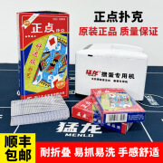 猛龙扑克牌棋牌室休闲娱乐斗地主掼蛋牌发牌机专用加厚耐用 正点通用扑克一条10副（常规）