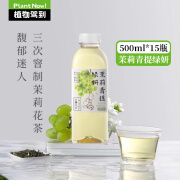 植物驾到海盐荔枝乌龙茉莉青提多口味茶饮料果汁饮品 茉莉青提绿妍500ml*15瓶