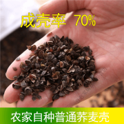 裳羞纪荞麦枕头100%纯荞麦枕头100%纯成人皮壳枕芯5斤6斤10斤夏季超大号 一斤【样品看质量】 农家【普通荞麦壳】80壳 农家自晒