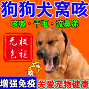 狗狗犬窝咳特效狗狗感冒咳嗽流鼻涕干咳干呕止咳肺炎专用套餐 狗狗犬窝咳【5瓶装】