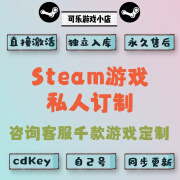 STEAMsteam激活码steam游戏私人订制CDKey在线电脑单机游戏入库兑换码 标准版（游戏本体）