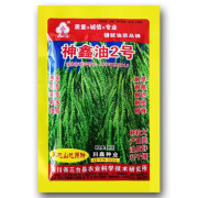 神鑫油2号杂交油菜籽榨油油菜花种子抗倒抗旱矮秆亩产800斤 神鑫