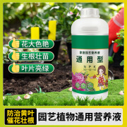 花大壮植物通用型营养液 花肥花卉盆栽绿植家用室内外通用营养液1000ml 植物通用营养液1000ml