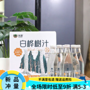 永富白桦树汁原液植物饮料东北特产大兴安岭0300ml*6瓶 纯桦树汁300Ml*6/箱