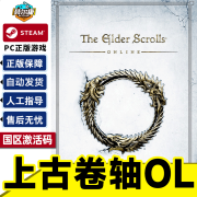 Steam 上古卷轴OL The Elder Scrolls Online 国区激活码CDKEY 标准版 上古卷轴OL