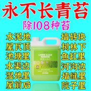 宫小柒青苔清除剂水泥地面鱼池果树房屋专用苔藓藻类去除绿水清洁剂神器 5斤 赠500ml喷壶 手套 平板刷