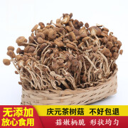 九狸茶树菇干货不开伞蘑菇庆农家新货食用菌菇无硫嫩茶薪菇 250g