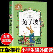 兔子坡注音版 适合小学生一年级二年级三年级下册课外书必读的正版书目老师经典书籍上册儿童漫画绘本故事书 兔子坡