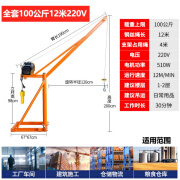 NMRVCK室外小吊机提升机220v家用小型电动吊砖机 建筑装修升降起重机 220V100公斤12米