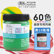 温莎牛顿画家专用丙烯颜料300ml大瓶手绘彩绘diy画墙绘专用材料纺织画专用防水防嗮套装-1 浅绿 300ml