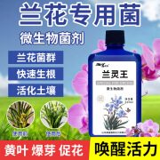 兰灵王兰花专用营养液君子兰科蝴蝶兰肥料生根壮芽 兰灵王525ML