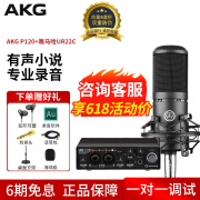 AKG爱科技（AKG） P120电容麦克风有声书录音专业设备直播k歌电台小说配音播音录书话筒套装 配雅马哈UR22C专业录音声卡套餐