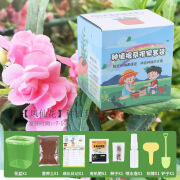 萌璃 儿童盆栽小学生植物科学种植生长发芽观察盒幼儿园创意礼物植树 凤仙花