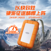 LaCie雷孜 移动固态硬盘 Type-C/USB3.2接口 Rugged Mini SSD 安卓苹果手机/iPad外接固态硬盘 便携三防 2TB（STMF2000400）